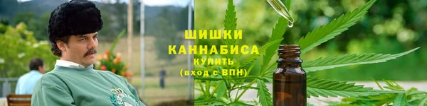 стафф Богородицк