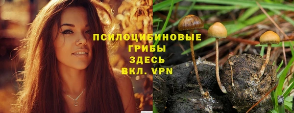mdpv Беломорск