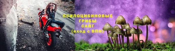 каннабис Богданович