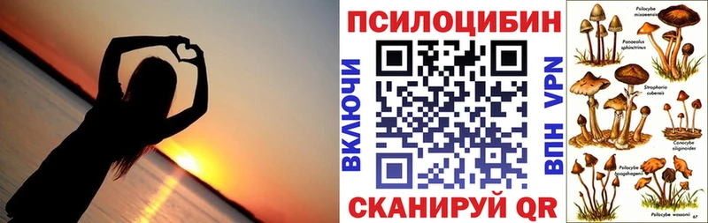 Галлюциногенные грибы мицелий закладки Видное